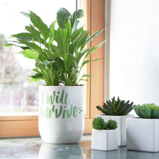 Posca Ανεξίτηλοι Μαρκαδόροι 0.9-1.3mm 16τμχ