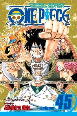 ONE PIECE, VOL. 45 PA