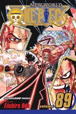 ONE PIECE, VOL. 89 PA