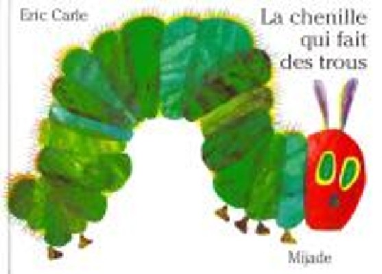 CHENILLE QUI FAIT DES TROUS