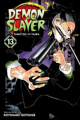 DEMON SLAYER, VOL. 13 PA