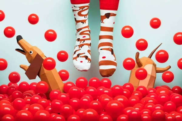 Many Mornings Sausage Dog Κάλτσες Πολύχρωμες