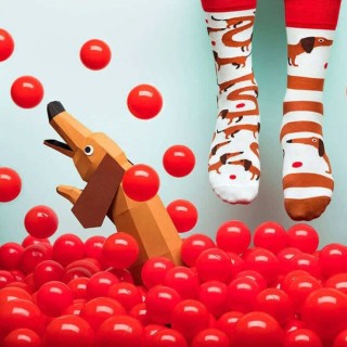 Many Mornings Sausage Dog Κάλτσες Πολύχρωμες