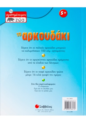 Το αρκουδάκι