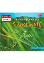 Καμουφλάζ