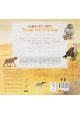 Αληθινοί ήχοι: Ταξίδι στη ζούγκλα (με 12 ήχους ζώων)