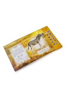 Αληθινοί ήχοι: Ταξίδι στη ζούγκλα (με 12 ήχους ζώων)