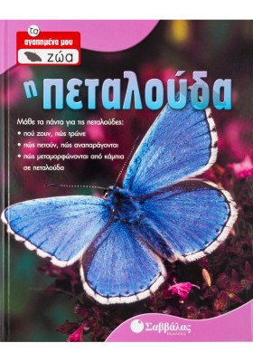 Η Πεταλούδα Νο 1