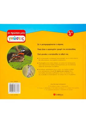 Από την κάμπια στην πεταλούδα: Ο κύκλος της ζωής