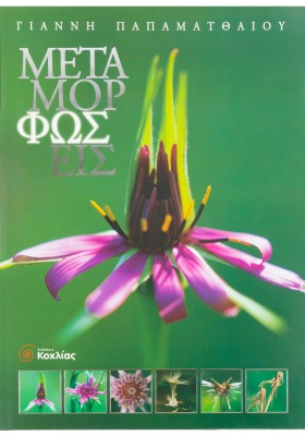 Μεταμορφώσεις