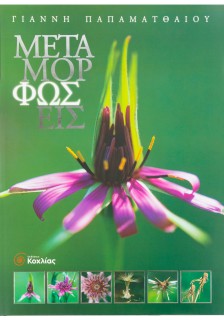 Μεταμορφώσεις