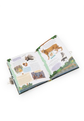 Το μυστικό ημερολόγιο του εξερευνητή