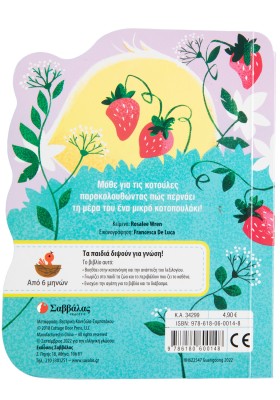 Το μικρό κοτοπουλάκι