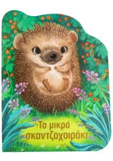 Το μικρό σκαντζοχοιράκι