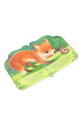 Το μικρό σκαντζοχοιράκι