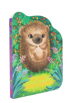 Το μικρό σκαντζοχοιράκι