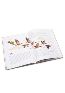 Ο Μικρός Πρίγκιπας