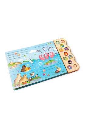 Τα ζωάκια της θάλασσας