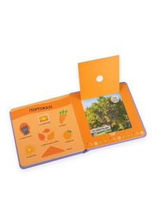 Το πρώτο μου βιβλίο με μυρωδιές και χρώματα: Ο κήπος