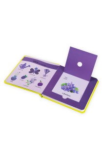 Το πρώτο μου βιβλίο με μυρωδιές και χρώματα: Οι εποχές