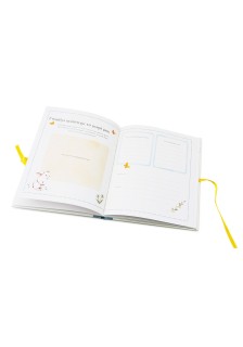 Ημερολόγιο εγκυμοσύνης