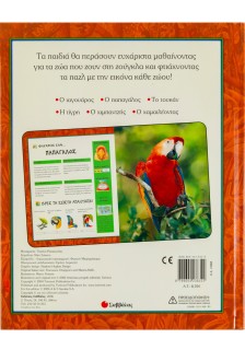 Ο κόσμος της ζούγκλας