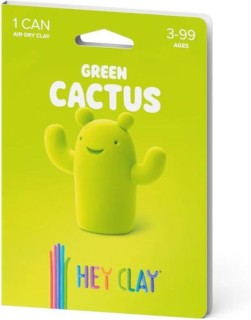 Hey Clay One Can Green Cactus