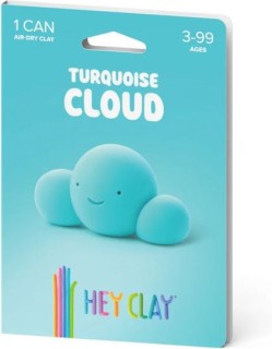 Hey Clay One Can Turqoise Cloud