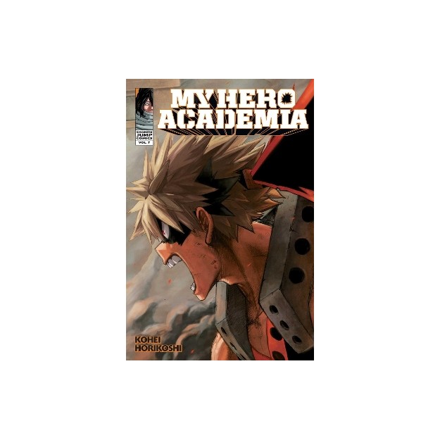 MY HERO ACADEMIA, VOL. 07 PA