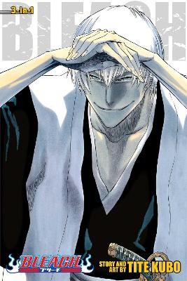 BLEACH: 3-IN-1 ED V07 PA : INCLUDES VOLS. 19, 20 & 21
