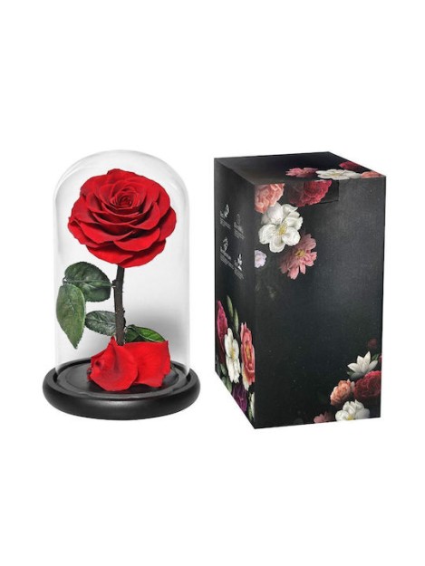 Παντοτινό Τριαντάφυλλο Κόκκινο σε Γυάλα 22x14cm