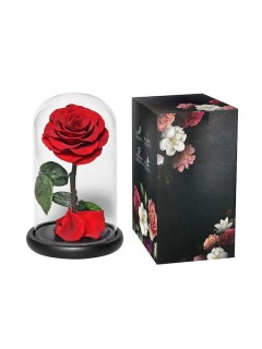 Παντοτινό Τριαντάφυλλο Κόκκινο σε Γυάλα 22x14cm