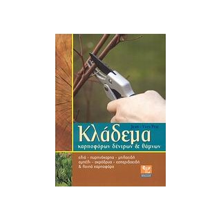ΚΛΑΔΕΜΑ ΚΑΡΠΟΦΟΡΩΝ ΔΕΝΤΡΩΝ ΚΑΙ ΘΑΜΝΩΝ ΕΛΙΑ, ΠΥΡΗΝΟΚΑΡΠΑ, ΜΗΛΟΕΙΔΗ, ΑΜΠΕΛΙ, ΑΚΡΟΔΡΥΑ, ΕΣΠΕΡΙΔΟΕΙΔΗ ΚΑΙ ΛΟΙΠΑ ΚΑΡΠΟΦΟΡΑ: ΑΝΑ ΕΙΔΟΣ