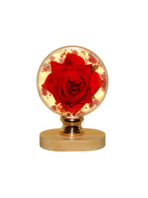 Δωρόσημο Διακοσμητικό Φωτιστικό Θερμό Λευκό 12x9.5εκ.