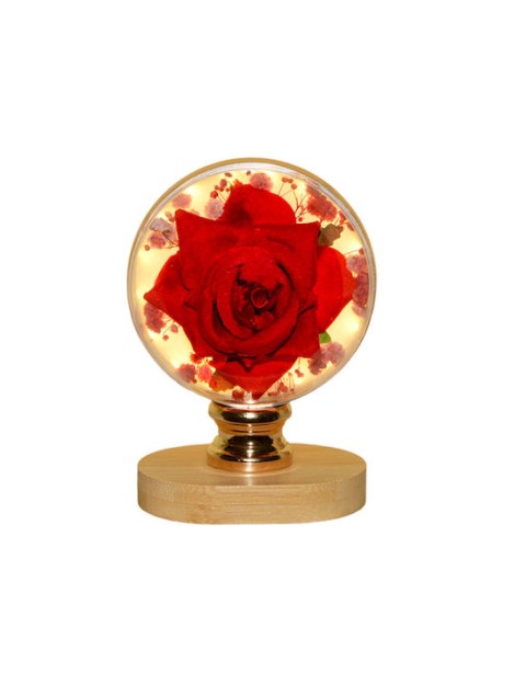 Δωρόσημο Διακοσμητικό Φωτιστικό Θερμό Λευκό 12x9.5εκ.