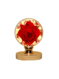 Δωρόσημο Διακοσμητικό Φωτιστικό Θερμό Λευκό 12x9.5εκ.