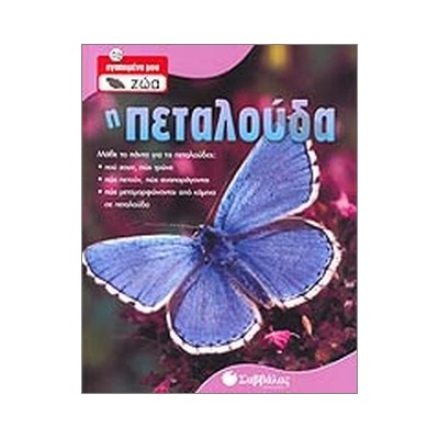 Η πεταλούδα