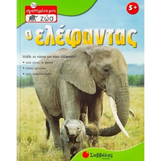 Ο ελέφαντας