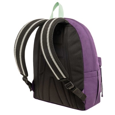 Polo Original Scarf Σχολική Τσάντα Πλάτης Γυμνασίου - Λυκείου Μωβ/Φυστικί 9-01-135-4759