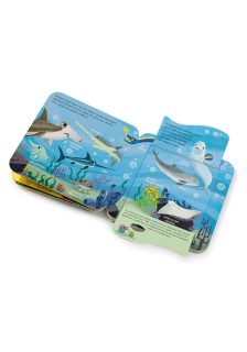 Παίζω κρυφτό με τα ζώα του κόσμου