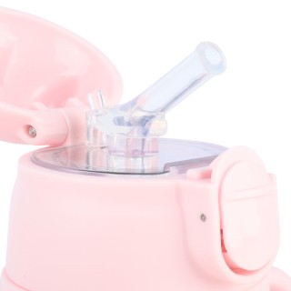 ESTIA ΘΕΡΜΟΣ ΠΑΙΔΙΚΟ BUBBLE BOTTLE SAVE THE AEGEAN 300ml WILD STUNTS