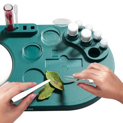 Top Bright Μικροσκόπιο Μικροί Επιστήμονες 460117