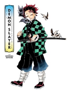 ART OF DEMON SLAYER MANGA HA : KIMETSU NO YAIBA