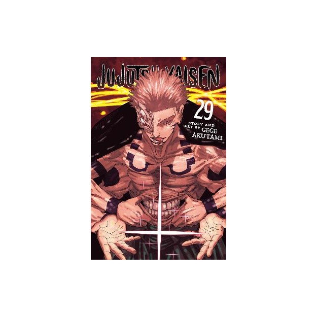 JUJUTSU KAISEN, VOL. 29 PA