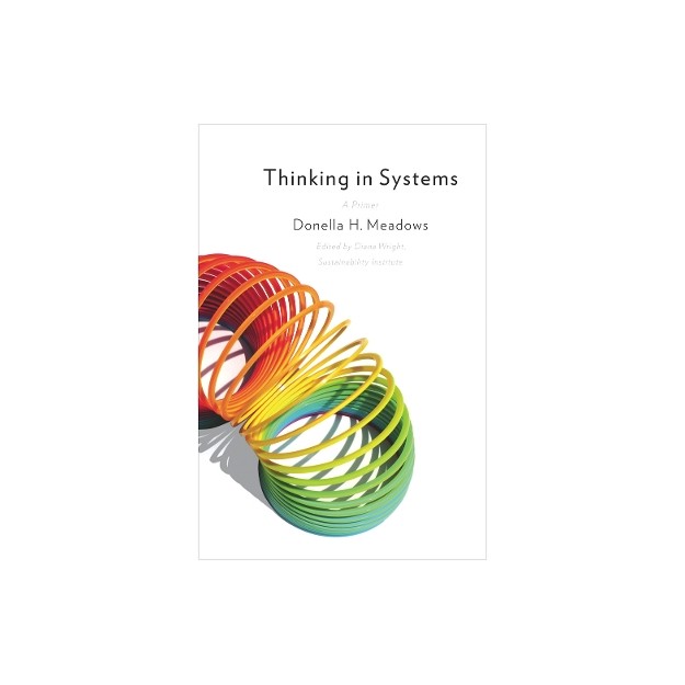 THINKING IN SYSTEMS PB