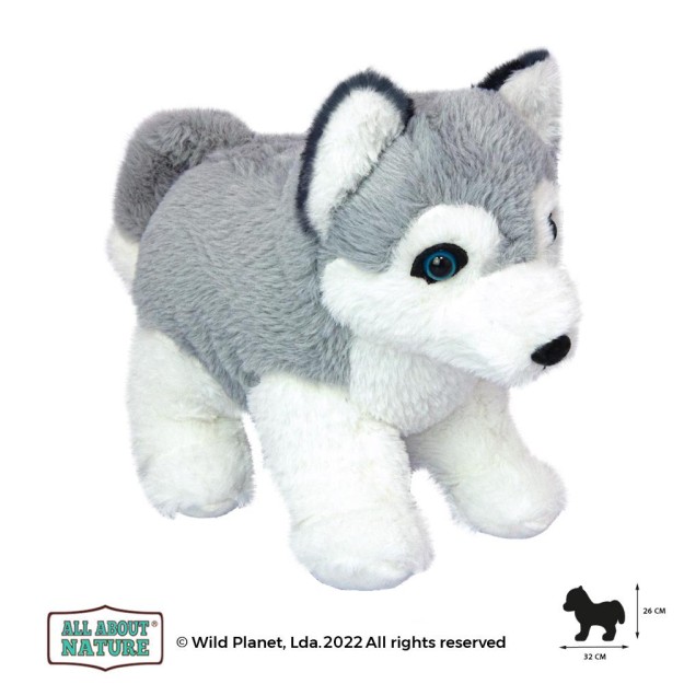 All About Nature Husky Puppy Λούτρινο Σκυλάκι 430137