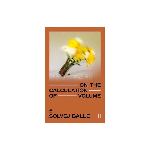 ON THE CALCULATION OF VOLUME II