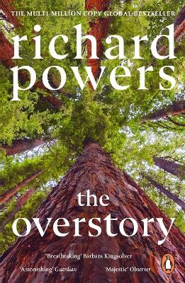 THE OVERSTORY PB