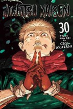 JUJUTSU KAISEN, VOL. 30 PA