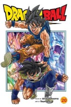 DRAGON BALL SUPER, VOL. 20 PA